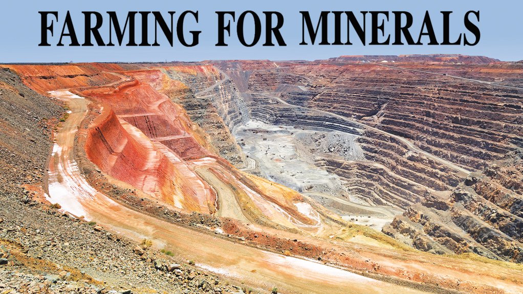 Agromining may provide new opportunities to extract remaining value from mined land