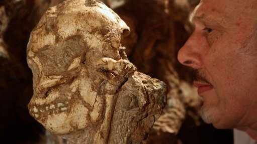 Wits unveils oldest hominid fossil
