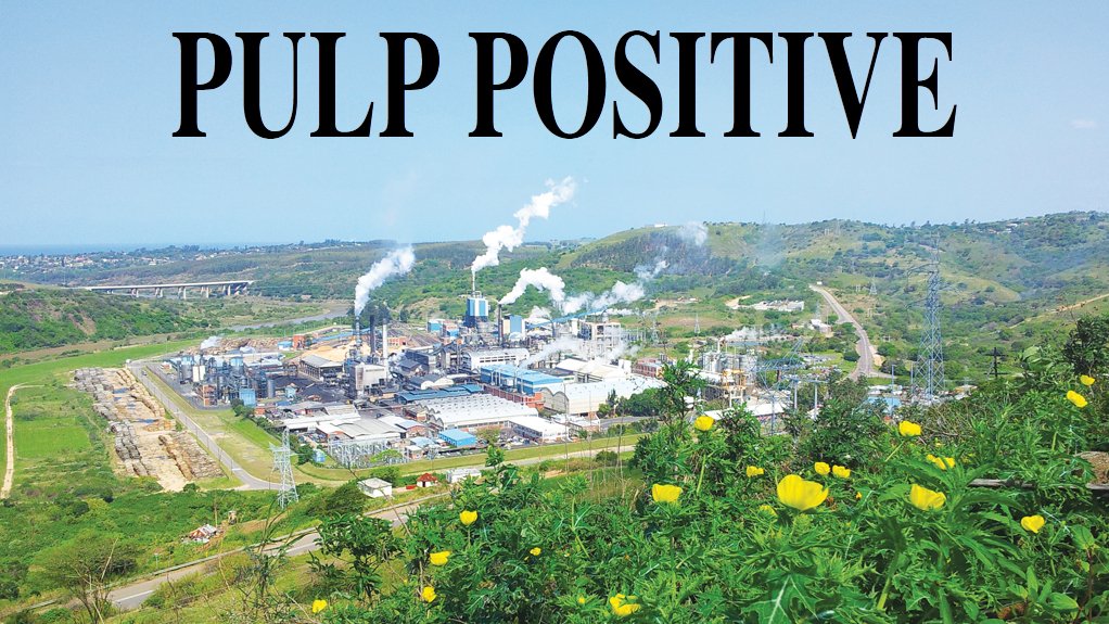 SA pulp and paper group moves to consolidate dissolving pulp leadership