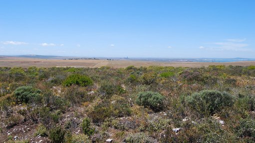 QUARRYING FAVOUR 
To mine limestone in the ecologically sensitive Saldanha Vredenburg area, AfriSam is placing more than 150 ha of this property into environmental status 