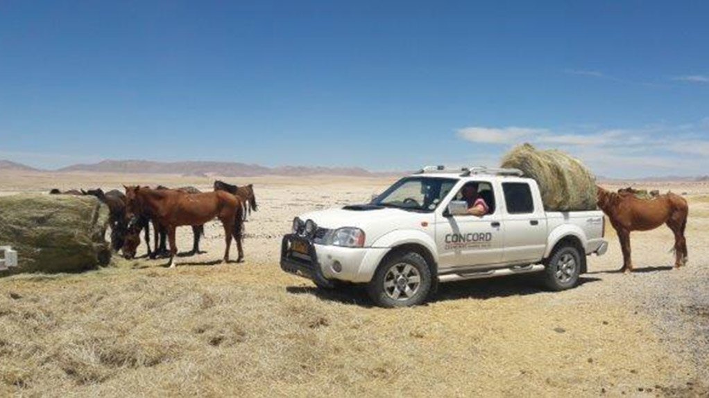 InServe companies come to the aid of the wild horses of Namibia
