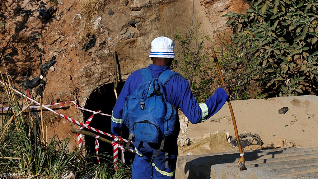 TEMPTING MARKET Despite dangers and associated lawlessness, a presumed market value running into billions of rands a year is tempting to the jobless