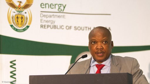 Department of Energy director-general Thabane Zulu