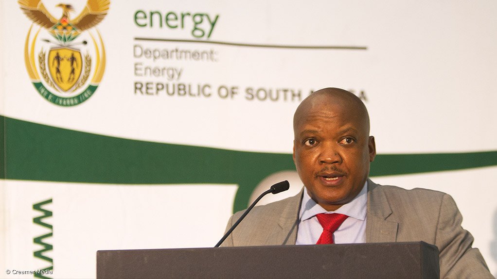 Director-general of the Department of Energy Thabane Zulu