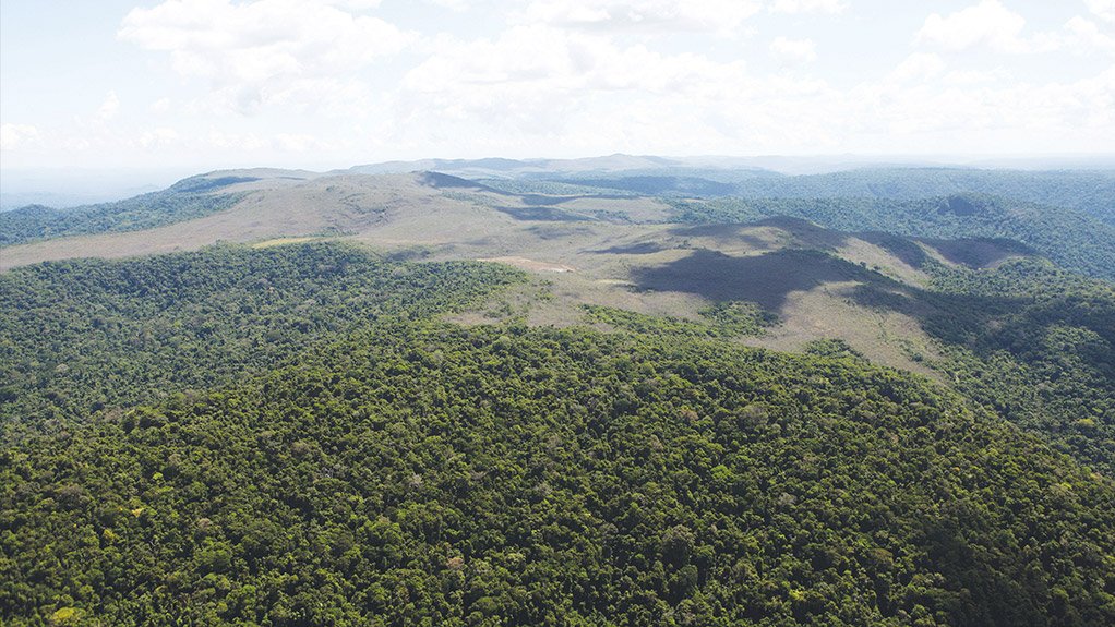 WILD This quite remote area of Brazil’s Pará State, photographed in 2013, is now the site of the world’s biggest iron-ore mine, S11D Eliezer Batista 