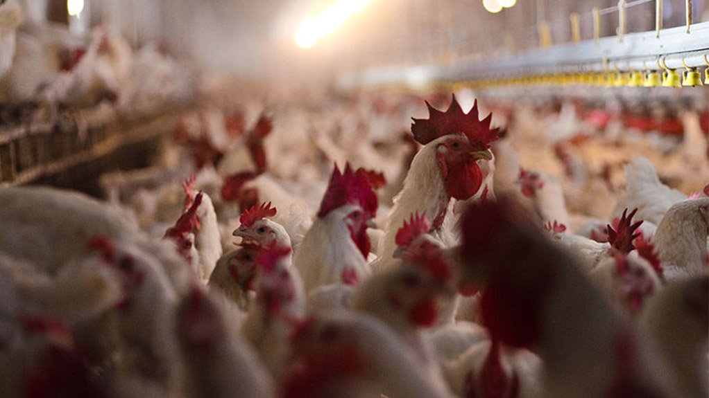 Stringent biosecurity required to contain bird flu outbreak