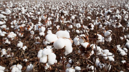 Bayer to sell South African cotton seed business as part of Monsanto merger conditions