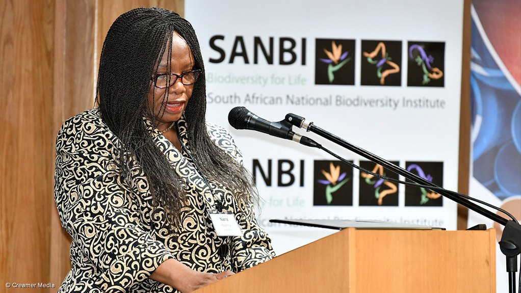 Sanbi chairperson Nana Magomola