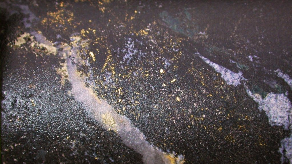 Visible gold in core from Eastmain Resources' Eau Claire project, in Northern Quebec