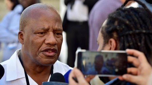 Land: For those saying we followed EFF, please look at facts - Mthembu