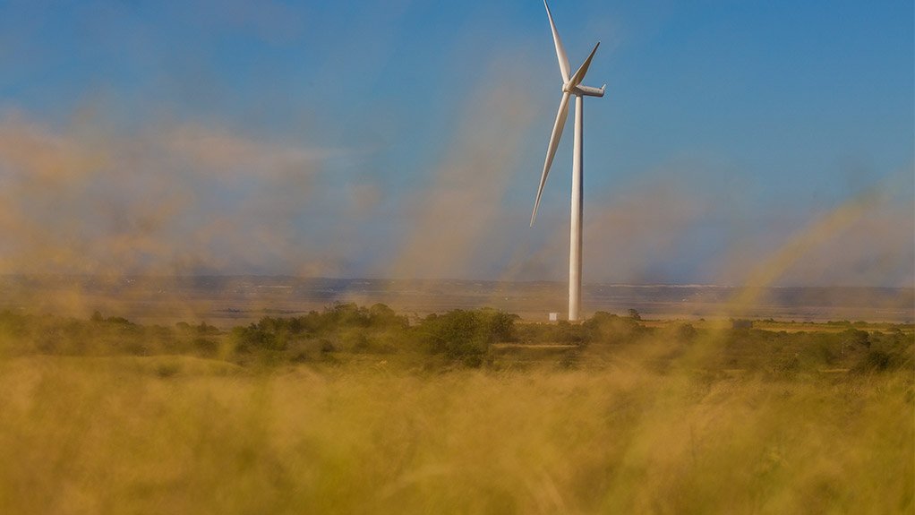 South Africa ahead of renewable energy curve – adviser