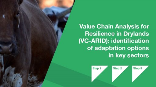 Value Chain Analysis for Resilience in Drylands (VC-ARID): identification of adaptation options in key sectors