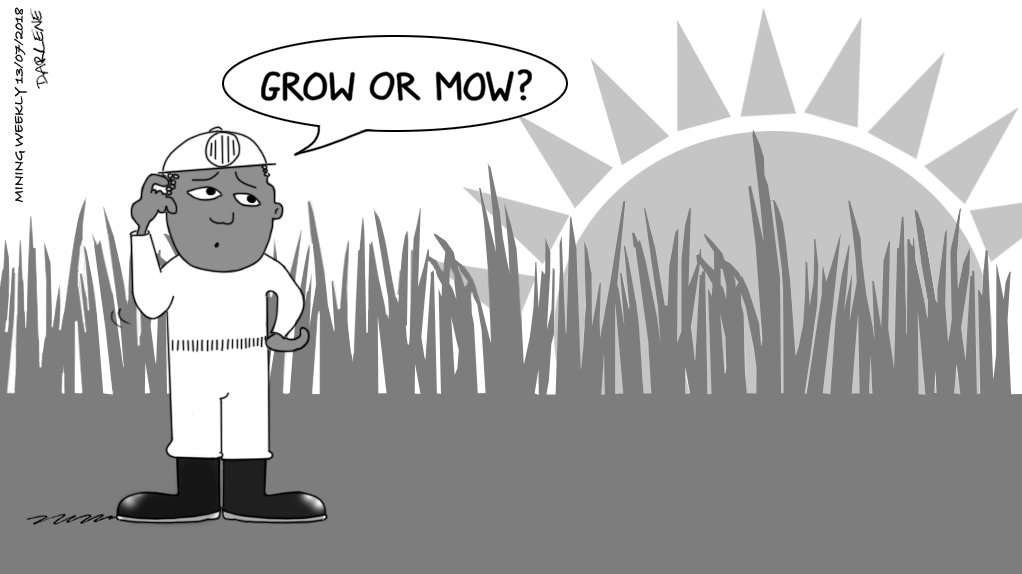 GROW OR MOW: