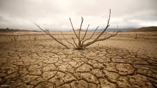 ROAD TO RECOVERY 
Drought stricken regions in South Africa need three years of significant rainfall to recover