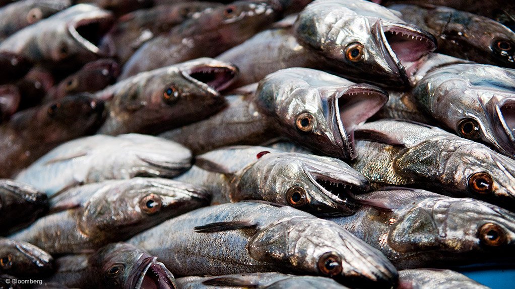 HAKING ITS TOLL
Hake takes less toll on the environment than most other farmed proteins
