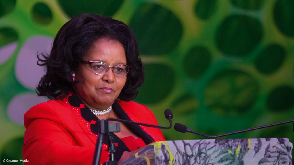 The late Environmental Affairs Minister Edna Molewa