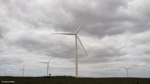 Wind body seeks right to contest Nersa report on delayed renewables projects