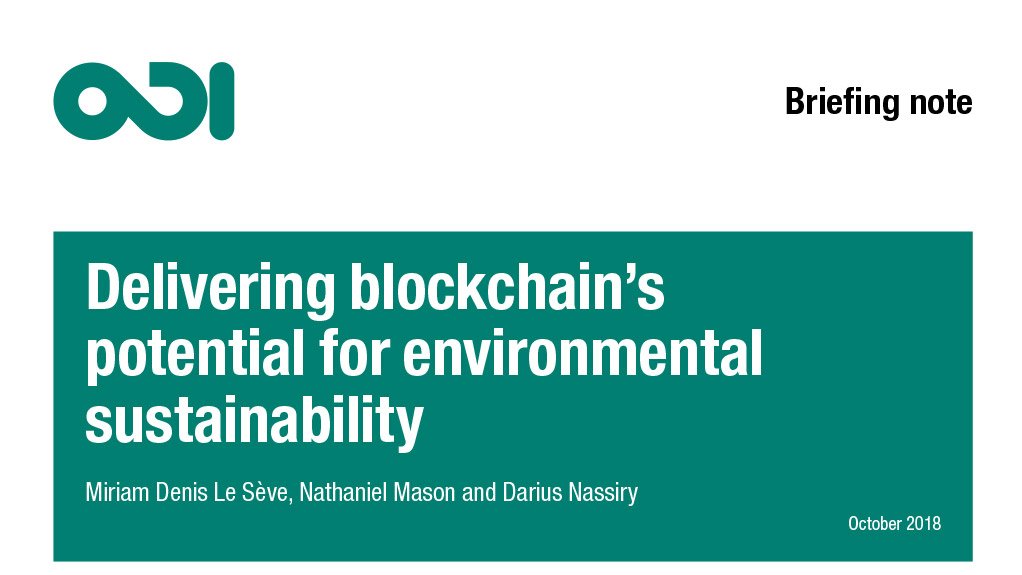 Delivering blockchain’s potential for environmental sustainability