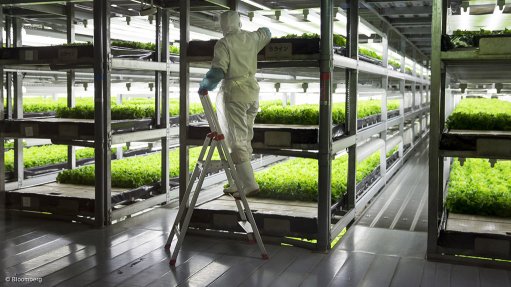 Skyscraper farms are about to go global 