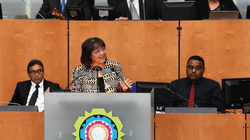 'Give me two weeks, then we will talk' – De Lille on possible ID revival