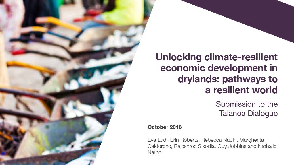 Unlocking climate-resilient economic development in drylands: pathways to a resilient world