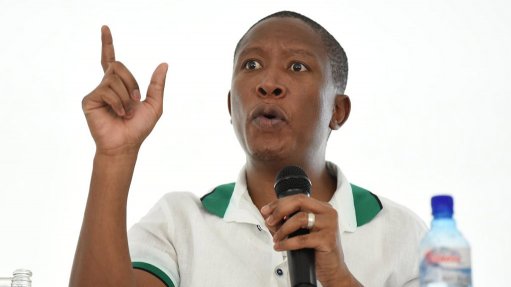 DA should be punished for 'racist behaviour' in Parliament – Malema