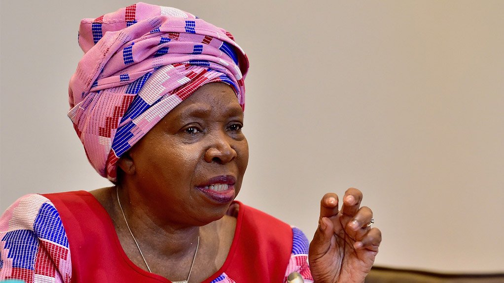 Minister in the presidency for planning, monitoring and evaluation Nkosazana Dlamini-Zuma