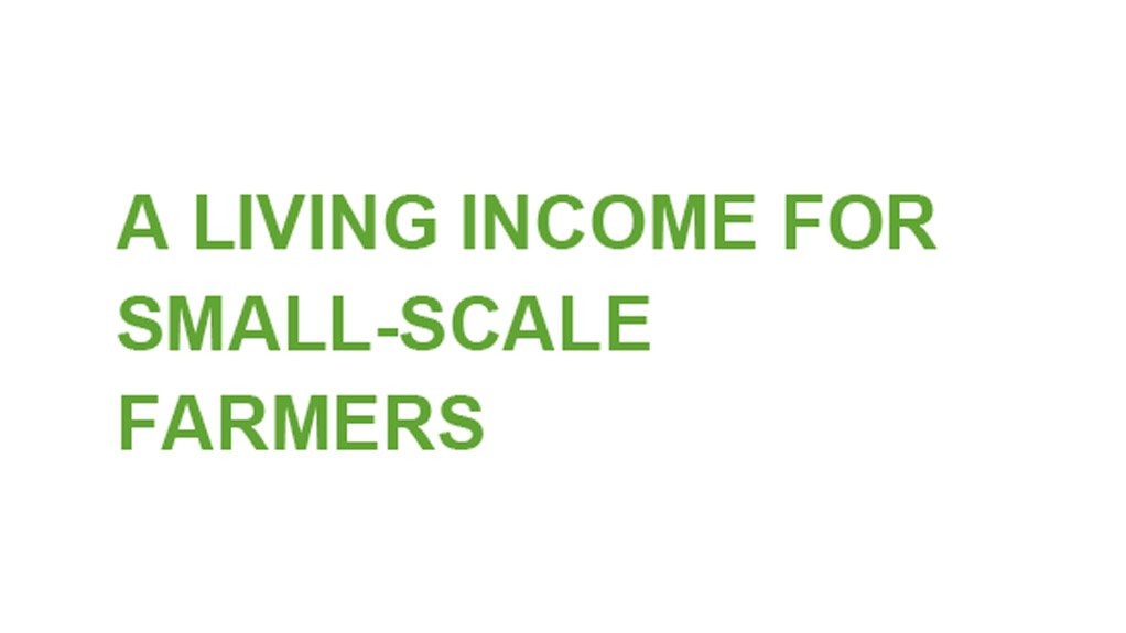 A living income for small-scale farmers – Tackling unequal risks and market power