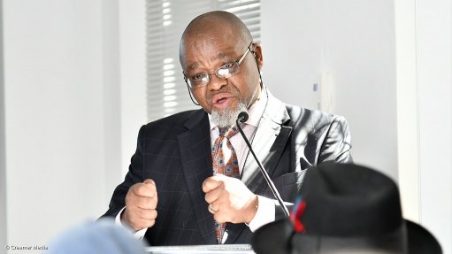 DMR: Minister Mantashe Announces Independent Survey in Xolobeni