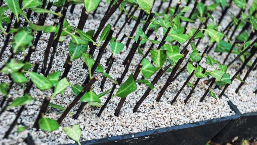 Grolite® improves fertilizer efficiency, promotes plant growth