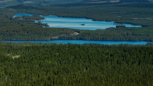 Bioenergy from boreal forests: Swedish approach to sustainable wood use