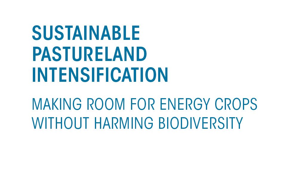 Sustainable pastureland intensification: Making room for energy crops without harming biodiversity