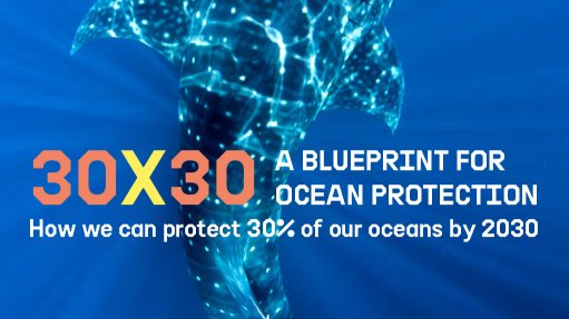 30×30: A Blueprint for Ocean Protection