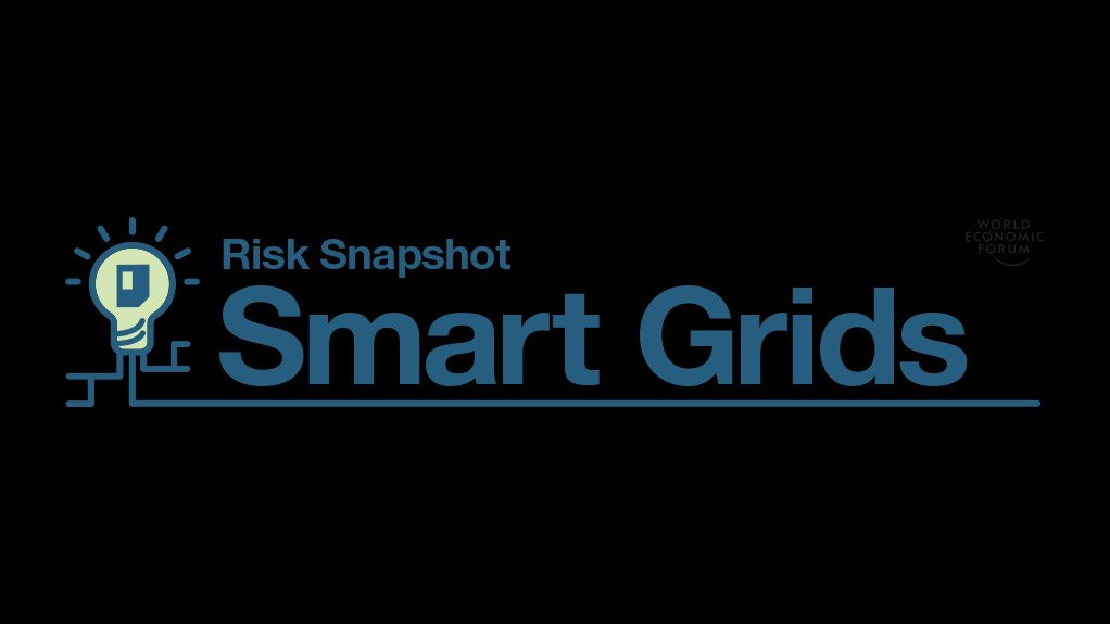  Risk Snapshot: Smart Grids