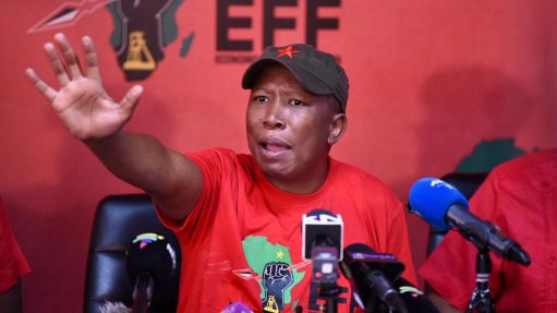 Malema accuses ANC of electoral fraud