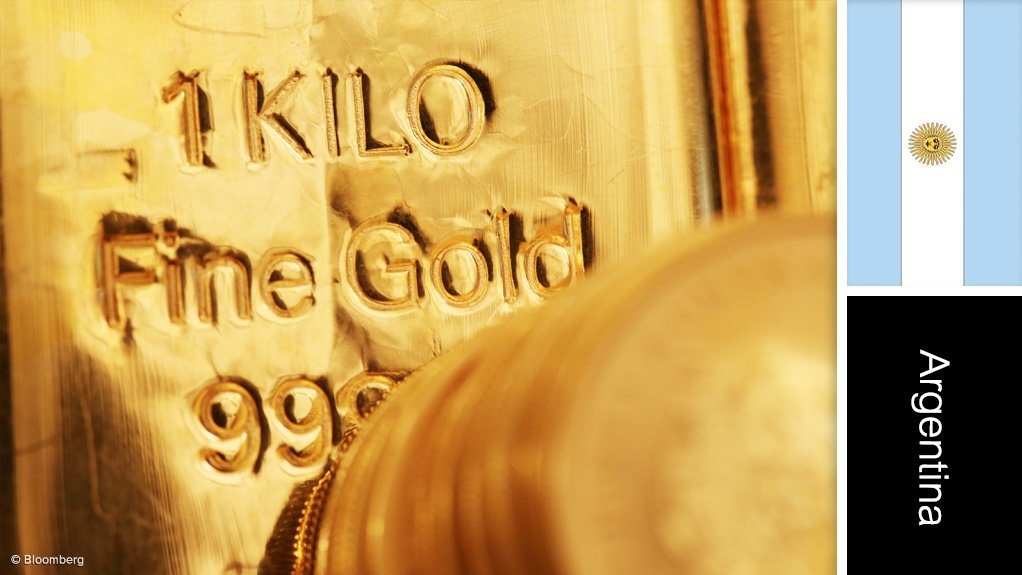 Taguas gold project, Argentina