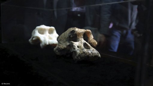 In watershed discovery, skull of ancient human ancestor unearthed