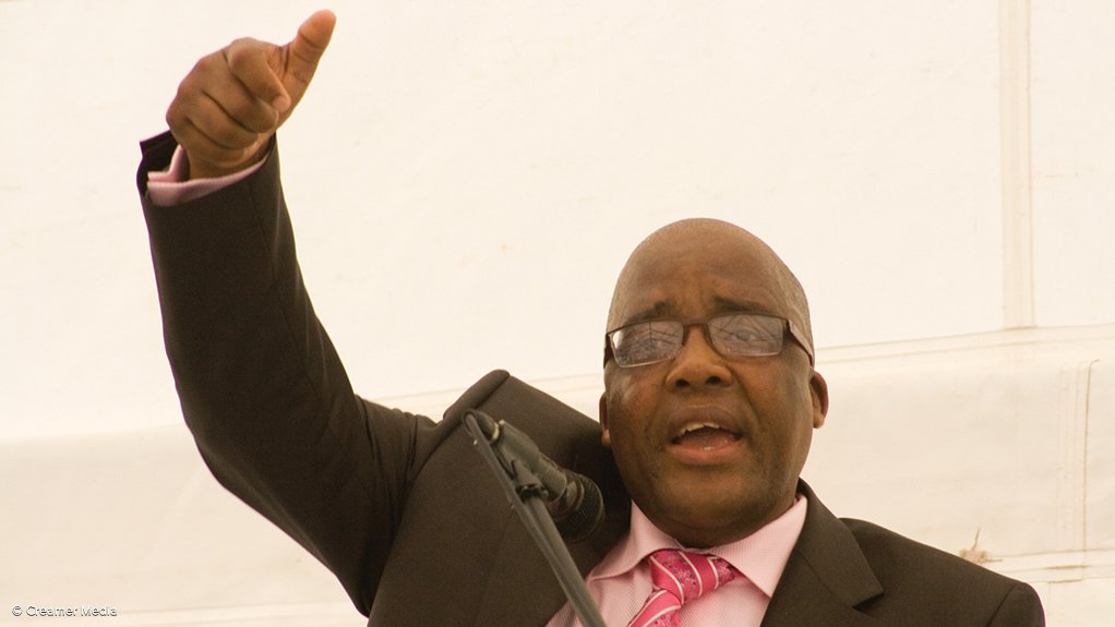AARON MOTSOALEDI Entry requirements are relaxed without compromising on safety of citizens