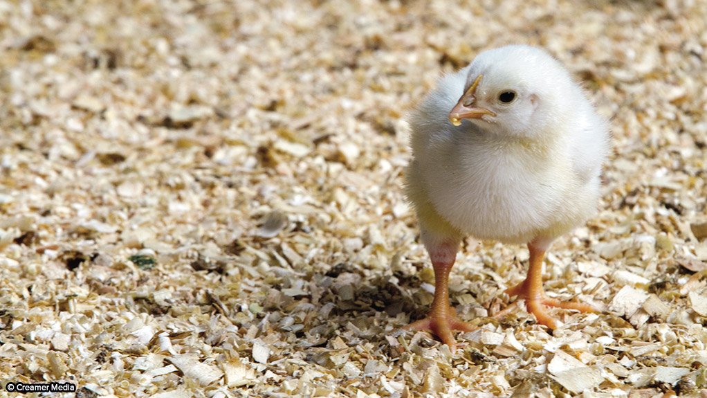 Poultry master plan broadly accepted by industry