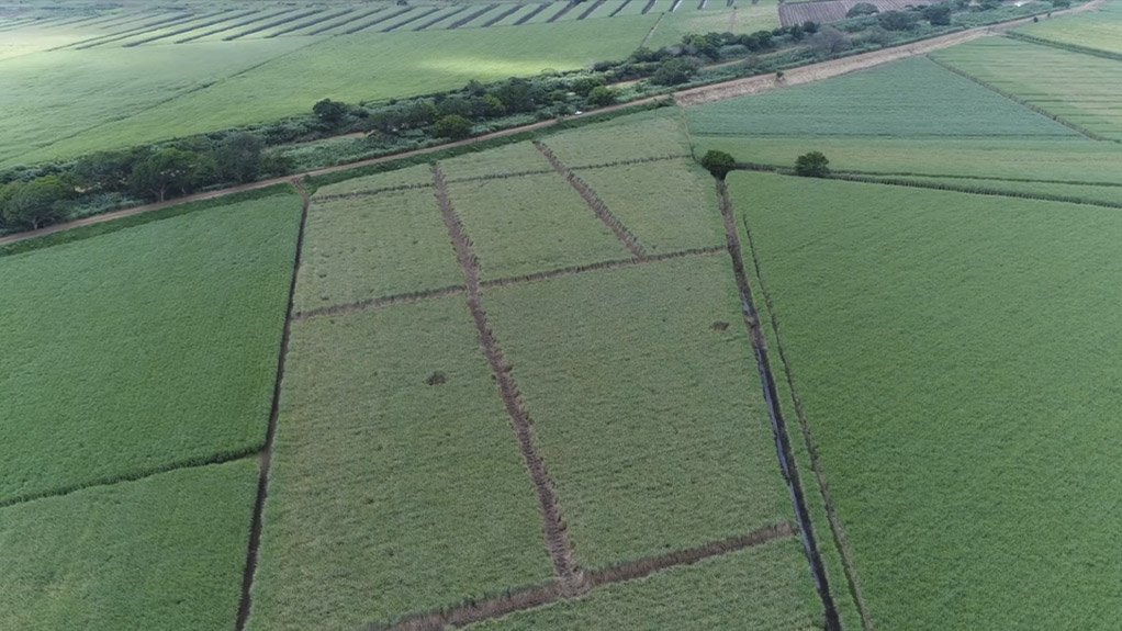 ANALYSE THIS
DJI and PACSys are undertaking research and development to integrate crop health and/or management analytics with drone spraying systems to allow for “spot-spraying” applications
