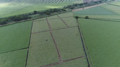 ANALYSE THIS
DJI and PACSys are undertaking research and development to integrate crop health and/or management analytics with drone spraying systems to allow for “spot-spraying” applications
