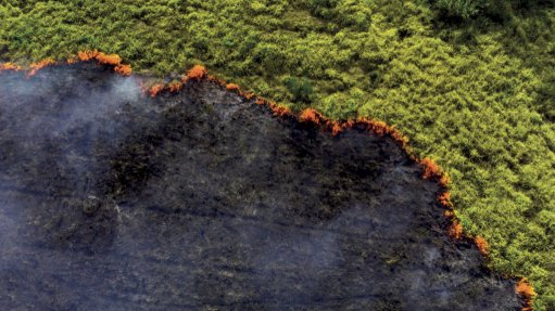 Nature Risk Rising: Why the Crisis Engulfing Nature Matters for Business and the Economy