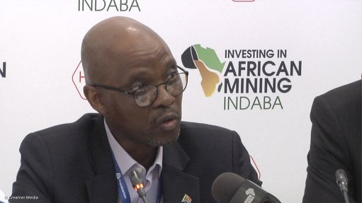 Video: Minerals Council chairperson Mgojo talks about electricity self-generation