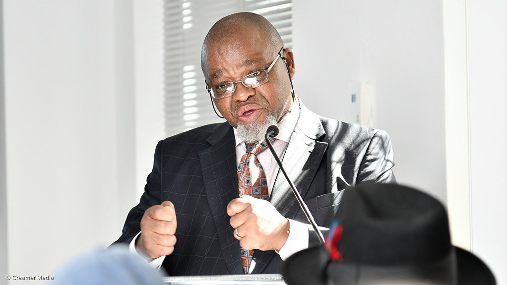 Mineral Resources and Energy Minister Gwede Mantashe