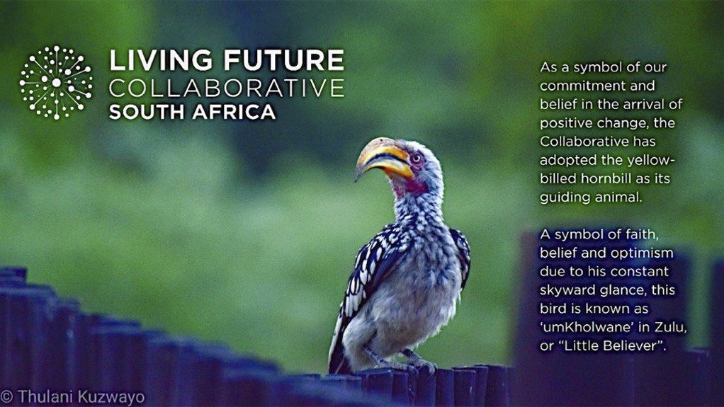 Living Future Collaborative in South Africa