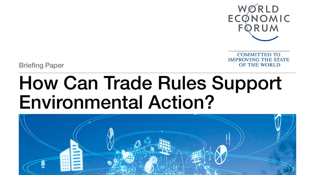  How Can Trade Rules Support Environmental Action?