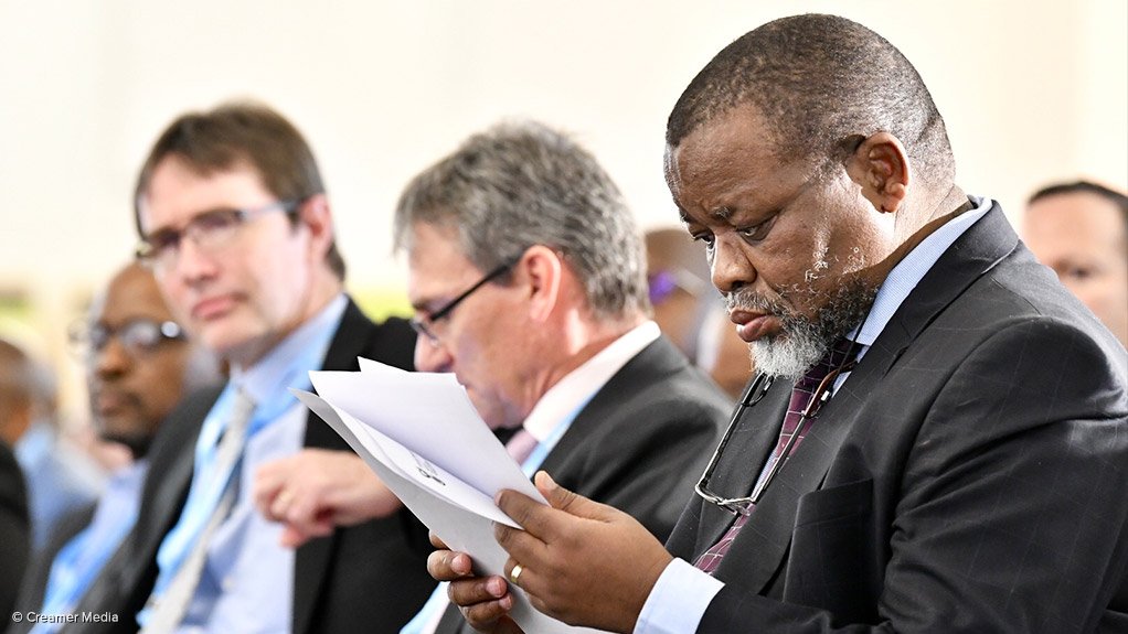 Minister of Mineral Resources and Energy Gwede Mantashe 