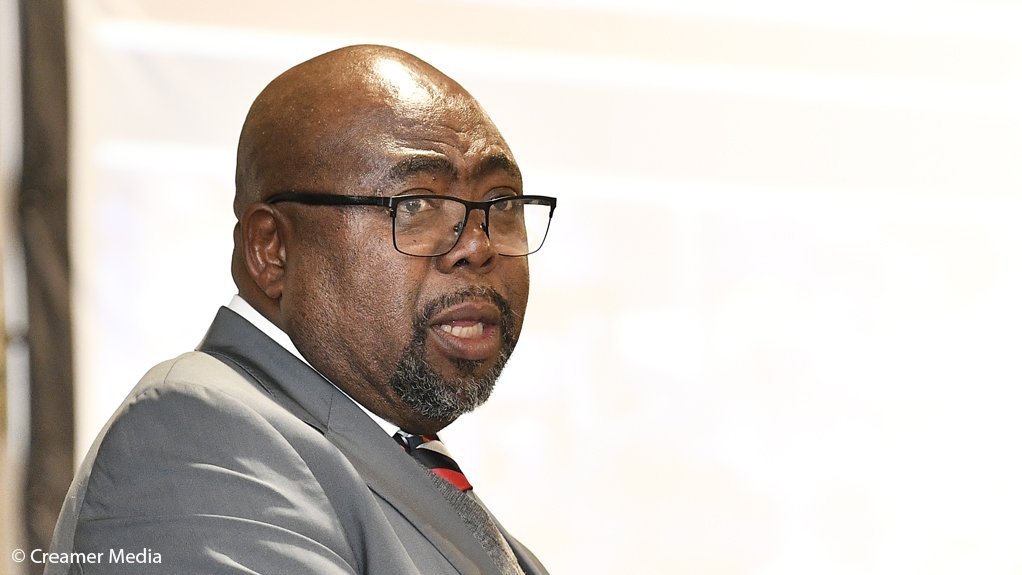 Employment and Labour Minister Thulas Nxesi 