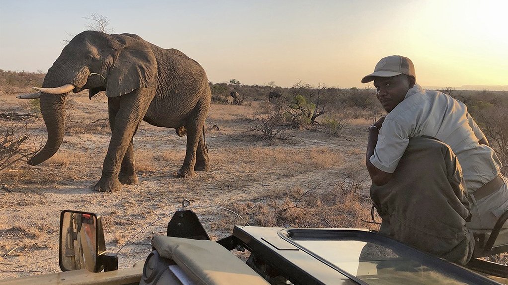 Umlani Bushcamp game tracker Abed Ndlovu with elephant, Limpopo province, South Africa