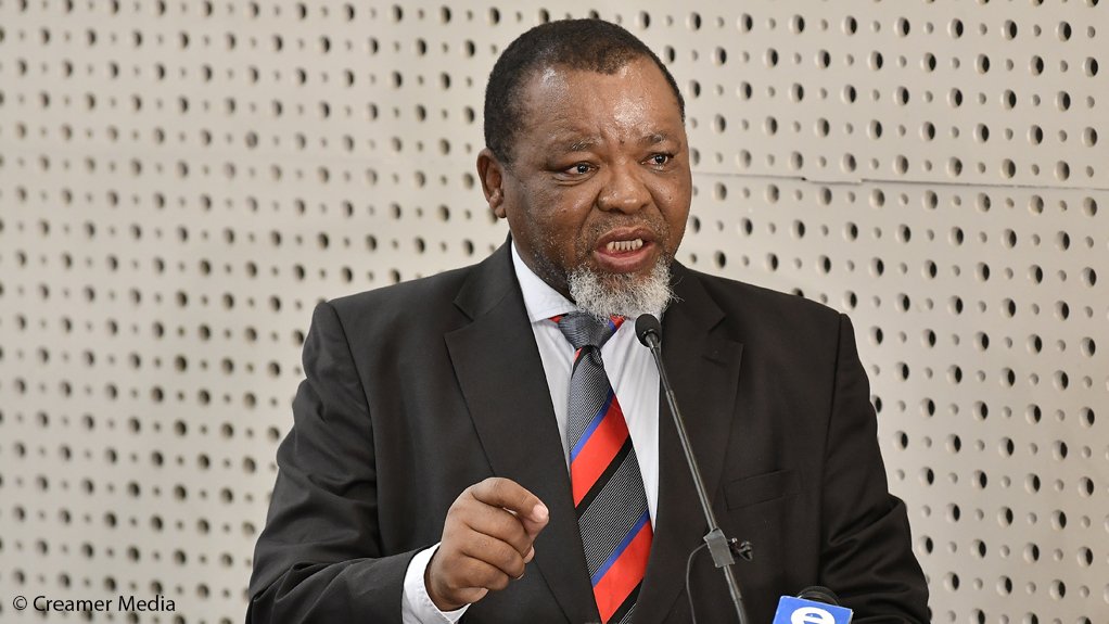Mineral Resources and Energy Minister Gwede Mantashe